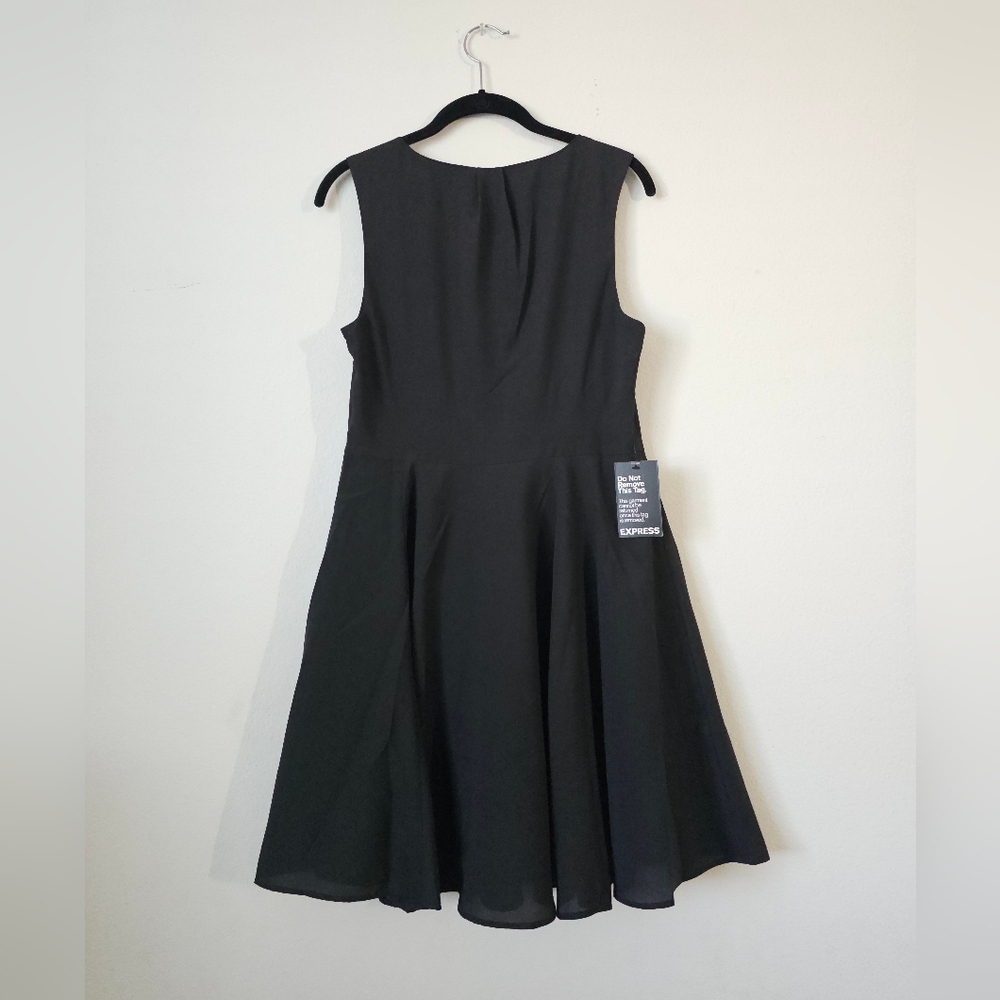 Express Dress - Picture 4 of 9